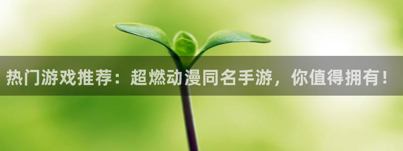辉达娱乐娱乐：热门游戏推荐：超燃动漫同名手游，你值得拥有！