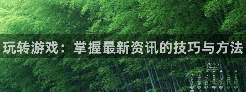 辉达娱乐开户测速：玩转游戏：掌握最新资讯的技巧与方法