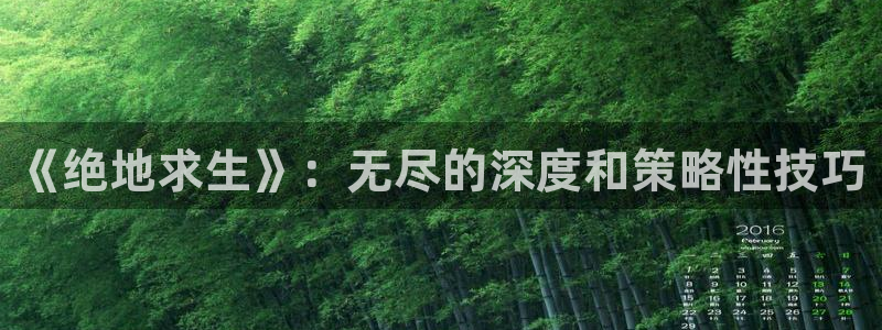 辉达娱乐登录网址：《绝地求生》：无尽的深度和策略性技巧